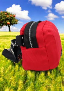 Geanta crossbody din material textil pentru femei R1929, curea reglabila, 21x18x13cm, Rosu - Img 2