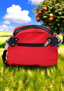 Geanta crossbody din material textil pentru femei R1929, curea reglabila, 21x18x13cm, Rosu - Img 3
