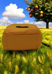 Geanta crossbody din material textil pentru femei R1929, curea reglabila, 21x18x13cm, Galben - Img 5
