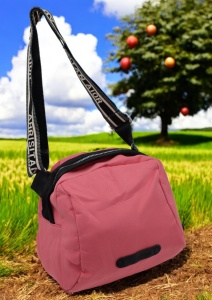 Geanta crossbody din material textil pentru femei R1929, curea reglabila, 21x18x13cm, Roz