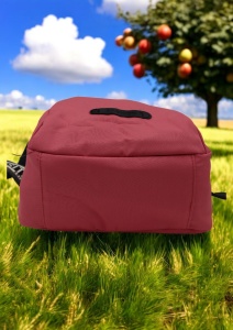 Geanta crossbody din material textil pentru femei R1929, curea reglabila, 21x18x13cm, Roz - Img 5