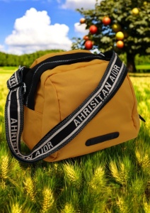 Geanta crossbody din material textil pentru femei R1929, curea reglabila, 21x18x13cm, Galben