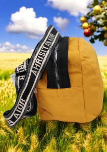 Geanta crossbody din material textil pentru femei R1929, curea reglabila, 21x18x13cm, Galben - Img 2