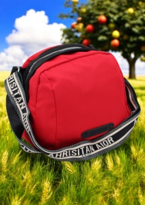 Geanta crossbody din material textil pentru femei R1929, curea reglabila, 21x18x13cm, Rosu