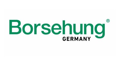 Borsehung