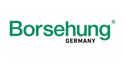 Borsehung