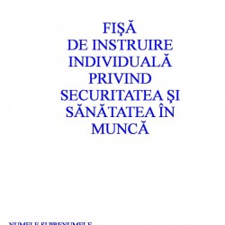 0,78 Lei/ buc - PACHET 1000 Fise SSM