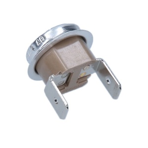 Termostat pentru cafetiera Saeco, one shot 190° 230V , 996530007973