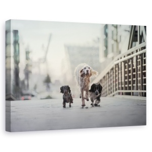 Tablou canvas - 1,2,3 Du-Te, Caini, Hamburg, Industrie, Dimineata, 80 x 120 cm