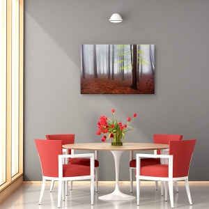 Tablou canvas - Abia trezit, Peisaj, Padure, Albastru , Ceata, 40 x 60 cm - Img 4