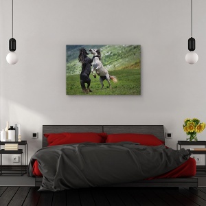Tablou canvas - Alb-negru, Animal, Cal, Animal, Natura, 60 x 90 cm - Img 3