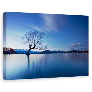 Tablou canvas - Amurg In Wanaka, Copac, Wanaka, Lac, Noua Zeelanda, Copac Singuratic, 60 x 90 cm