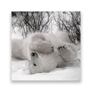 Tablou Canvas - Animal, Urs Polar, Iarna, Zapada, 60 x 60 cm