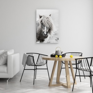 Tablou canvas - Animale, Cal, Natura, Alb-Negru, 40 x 60 cm - Img 4