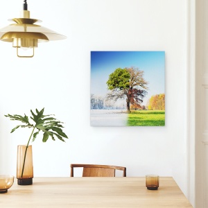 Tablou canvas - Anotimpuri, Sezon, Peisaj, 90 x 90 cm - Img 4