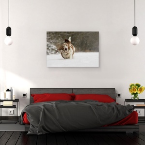 Tablou canvas - Aproape Aeropurtat, Caine, Zapada, Iarna, 40 x 60 cm - Img 3