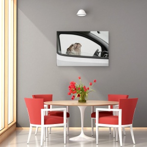 Tablou canvas - Arestat Pentru Excesul De Viteza, Caine, Animal, Pet, Sofer, 80 x 120 cm - Img 4