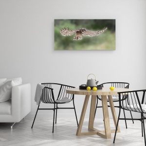 Tablou canvas - Aripi, Bufnita Vultur, Aripi, Zbor, 50 x 100 cm - Img 4