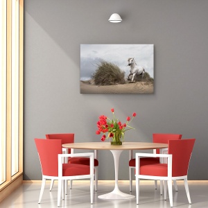 Tablou decorativ canvas armăsar alb pe plajă