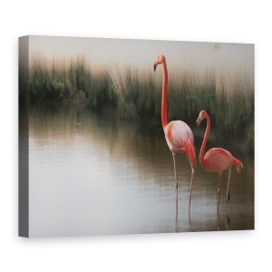 Tablou Canvas - Atat De Zen, Pereche, Flamingo, 50 x 70 cm