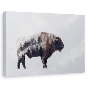 Tablou canvas - Bizonul, Animal, Mamifer, Coarne, 60 x 90 cm