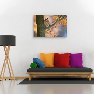 Tablou canvas - Bufnita Cu Urechi Lungi, Bufnita, Pasare, Ramura, Toamna, Toamna, 80 x 120 cm - Img 2