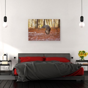 Tablou canvas - Bufnita Gri, Pasare, 40 x 60 cm - Img 3