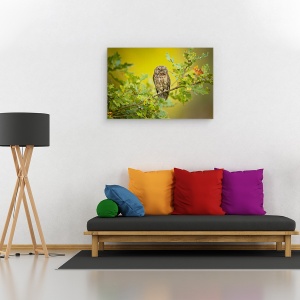 Tablou canvas - Bufnita, Ramura, Verde, Ochi, Distractie, 80 x 120 cm - Img 2