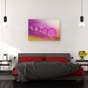 Tablou canvas - Bujori Dragalasi, Macro, Abstract, Apa, Ulei, Picatura, 40 x 60 cm - Img 3