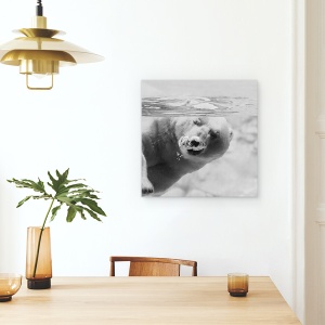 Tablou canvas - Bule, Australia, Urs Polar, Sub Apa, Balon, 90 x 90 cm - Img 4