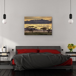 Tablou canvas - Buna seara, Tanzania!, Peisaj, Copac, Ceata, Africa, 60 x 90 cm - Img 3