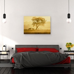 Tablou canvas - Caii De Aur, Peisaj, Animal, Gard, 40 x 60 cm - Img 3