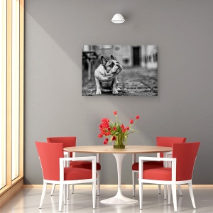 Tablou canvas - Caine, Alb-Negru, Pet, Animal, 80 x 120 cm - Img 4