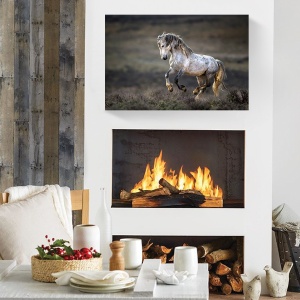 Tablou decorativ cal în natură pe canvas 60x90 cm