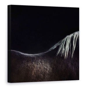 Tablou canvas - Calul Gol, Bruges, Belgia, Animale, Abstract, Coama, 90 x 90 cm