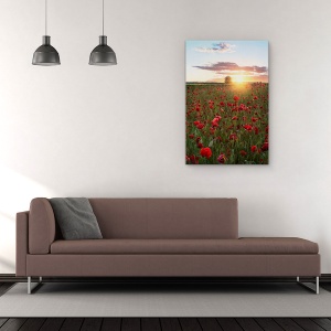 Tablou Canvas - Campuri De Mac Din Suedia, Flori, Maci, Soare, Suedia, Rosu, 60 x 90 cm - Img 2