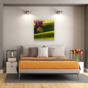 Tablou Canvas - Campuri Verzi, Moravia, Verde, Peisaj, Copaci, Agricultura, 90 x 90 cm - Img 2