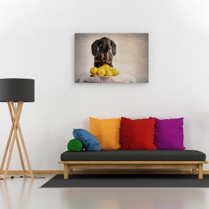 Tablou canvas - Cand Viata Iti Da Lamai, Caini, Galben, Animale, 60 x 90 cm - Img 2