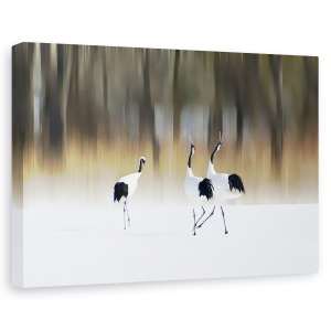 Tablou canvas - Canta Un Cantec De Dragoste, Macara, Pasare, Zapada, Iarna, Dragoste, 60 x 90 cm