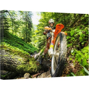 Tablou canvas - Carpath Enduro, Motocicleta, Cursa, Actiune, Perspectiva, Roata, 40 x 60 cm