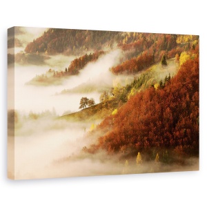 Tablou canvas - Ceata De Noiembrie, Peisaj, Toamna, Atmosfera, 40 x 60 cm
