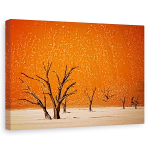 Tablou canvas - Cel Mai In Varsta, Peisaj, Mort, Copac, Nisip, Desert, 40 x 60 cm
