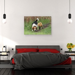 Tablou canvas - Cel Mai Rau Caine De Vanatoare Din Lume, Umor, Animal, Beagle, Vanatoare, Salbatic, 40 x 60 cm - Img 4