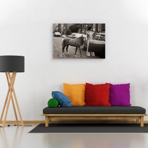 Tablou canvas - Chiar Incearca Sa Ma Integreze Acolo Din Nou, Ponei, Umor, 40 x 60 cm - Img 2