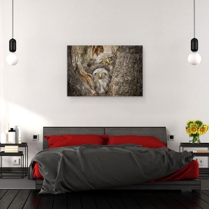 Tablou canvas - Civ Si Civ, Animal, Pasare, Salbatic, 40 x 60 cm - Img 3