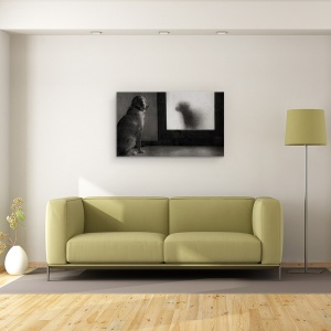 Tablou canvas - Clotilde Si Pancha, Caine, Pet, Reflectie, Alb-Negru, Oglinda, 50 x 80 cm - Img 2