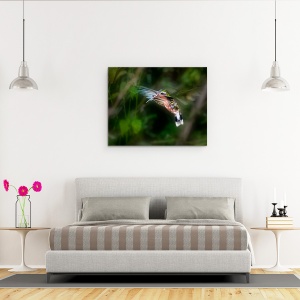 Tablou canvas - Colibri, Salbatic, Pasare, Aripi, Verde, 60 x 75 cm - Img 3