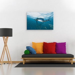 Tablou canvas - Comuniune, Sub Apa, Salbatic, Africa De Sud, Scalar, 40 x 60 cm - Img 2