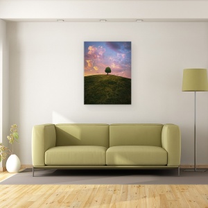 Tablou canvas - Copac Pe Deal In Timpul Apusului, Izolare, 50 x 70 cm - Img 2