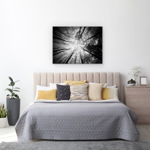 Tablou canvas - Copaci, Padure, Peisaj, Perspectiva, Cer, 75 x 100 cm - Img 3